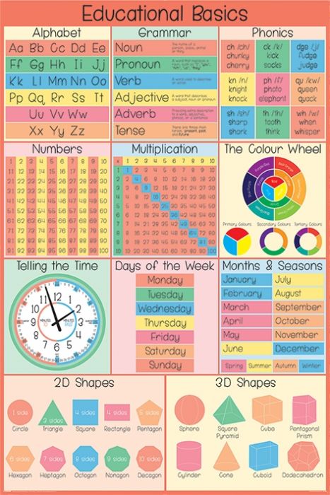 Educational Basics Poster 61x91.5cm Posters.de