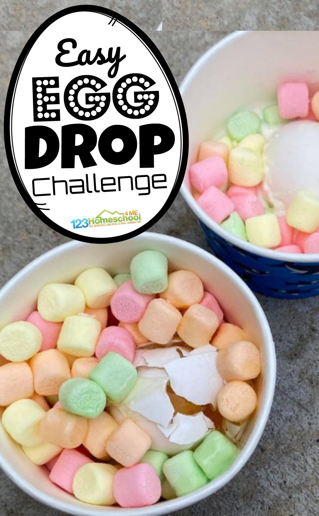 Free egg drop experiment worksheet, Download Free egg drop experiment