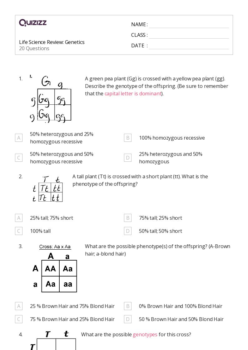 50+ Science worksheets for 8th Grade on Quizizz | Free &  Printable