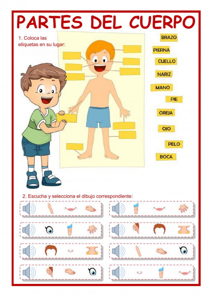 el cuerpo worksheet