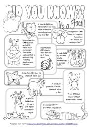 Animal facts worksheets