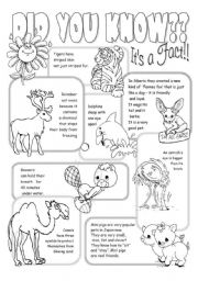 elementary facts worksheet
