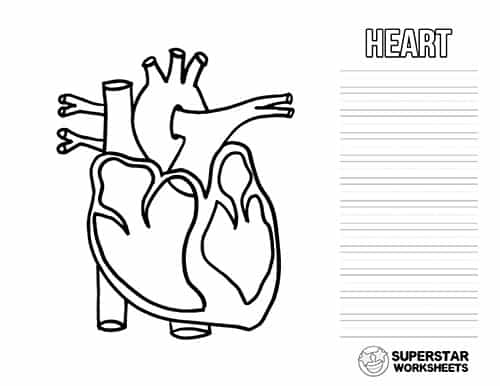 Heart Worksheets -Worksheets Library