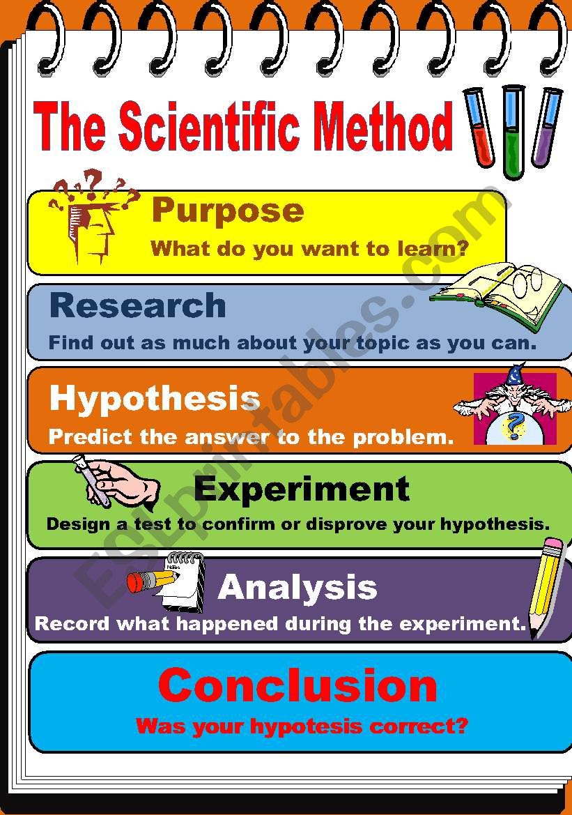 The Scientific Method - ESL worksheet by teacherjorgesanchez