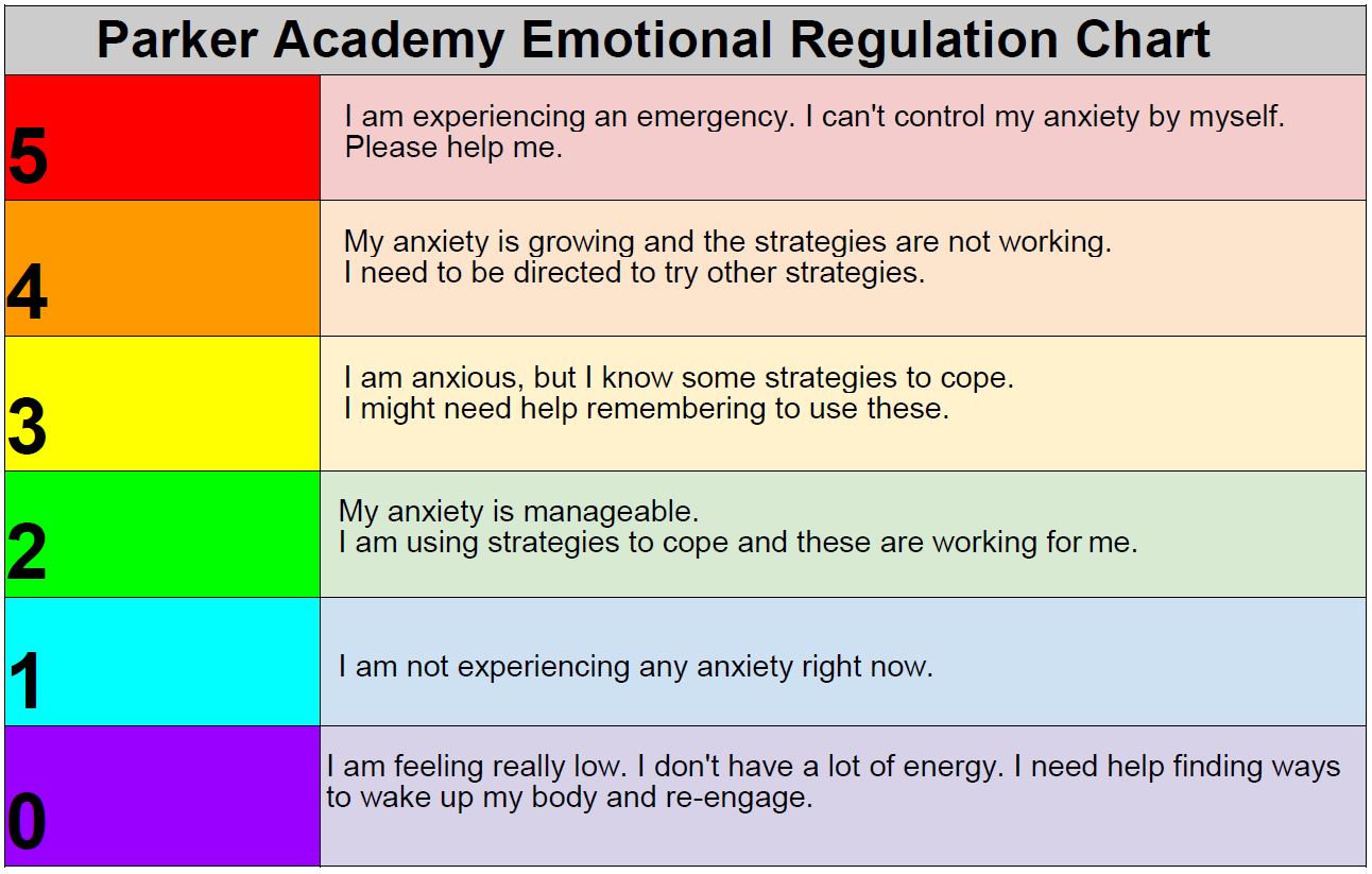 emotional regulation