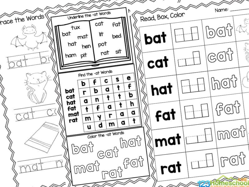 en word family worksheet