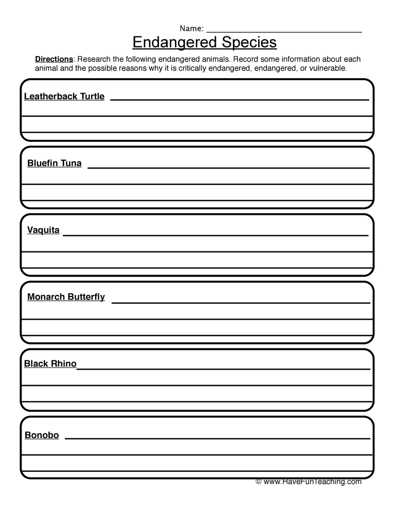 endangered animals worksheet