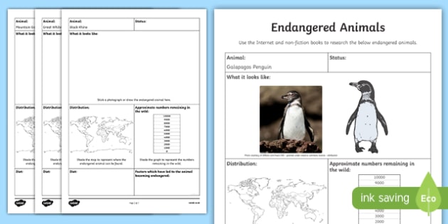 Endangered Animals Research - Fact File - KS2 - Twinkl