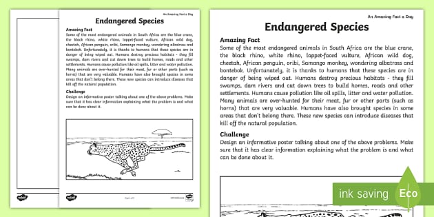 Endangered Animals in South Africa - Teacher-Made Worksheet