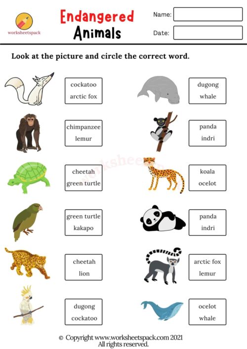 endangered species worksheet high school