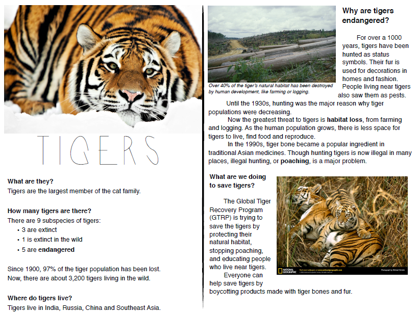 endangered species worksheet high school