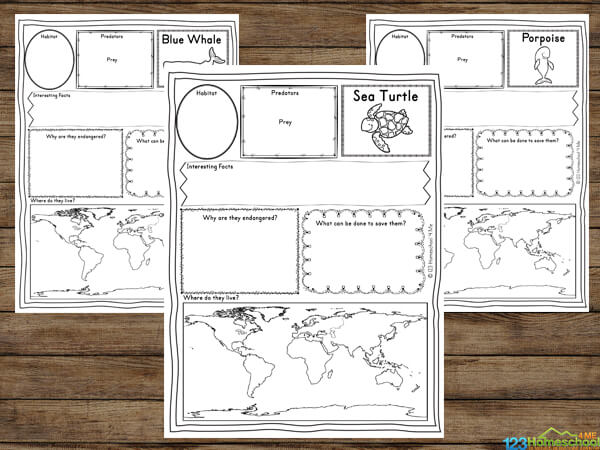 endangered species worksheet high school