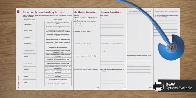 Endocrine System Worksheet (teacher made) - Twinkl