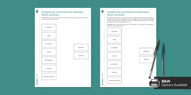 endothermic and exothermic reactions worksheet