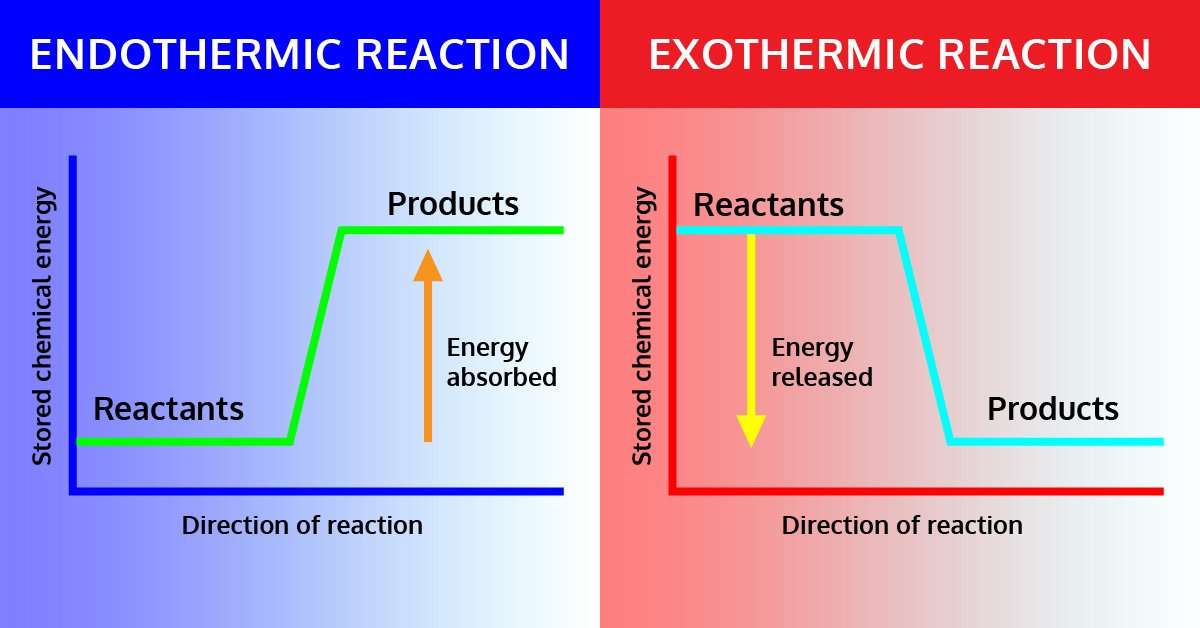 Endothermic and Exothermic Reactions Lab ⋆ iTeachly.com