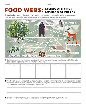 energy and matter worksheet