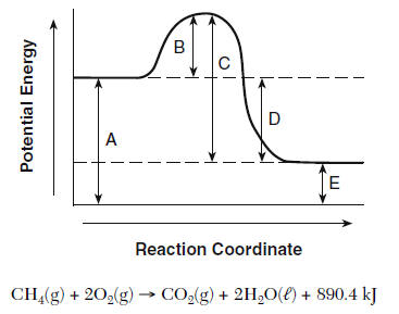 energy diagram worksheet