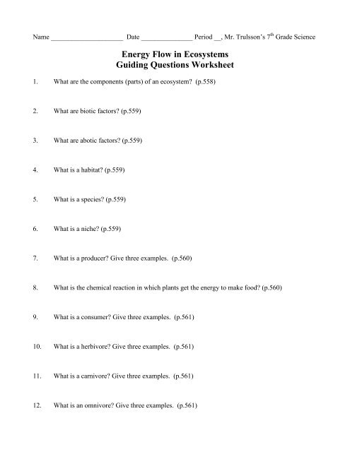 energy in ecosystems worksheet