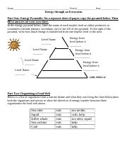 energy in ecosystems worksheet