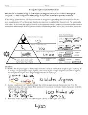 energy transfer in ecosystems worksheet