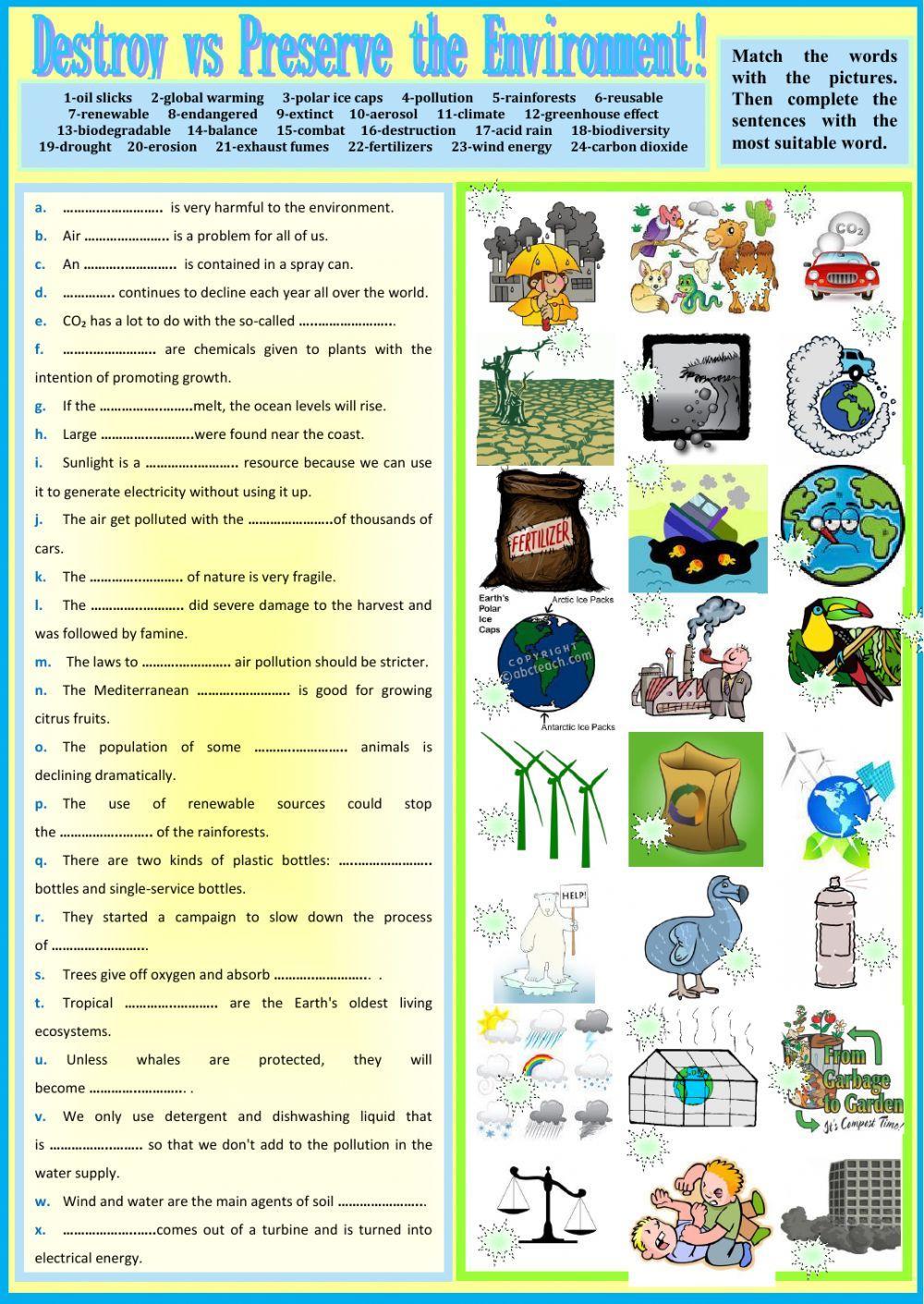 Destroy vs Preserve the Environment worksheet  