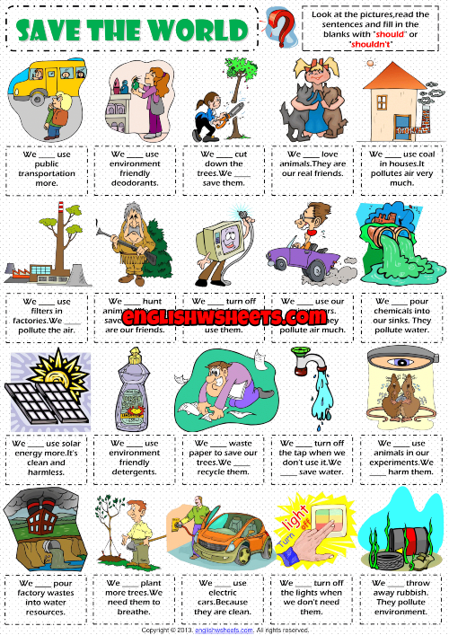 environment worksheet