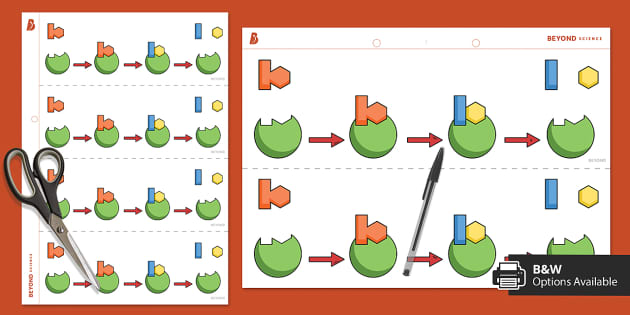 Enzyme Lock and Key Model Illustration (teacher made)