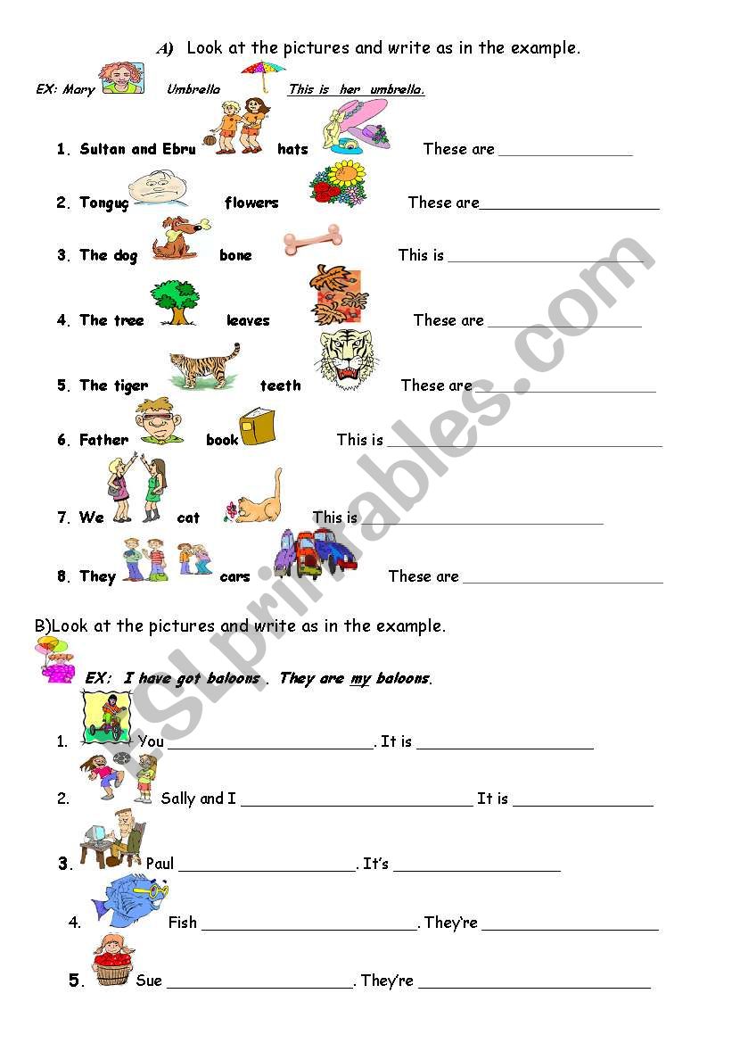 POSSESSIVE ADJECTIVES - ESL worksheet by ebrucimen
