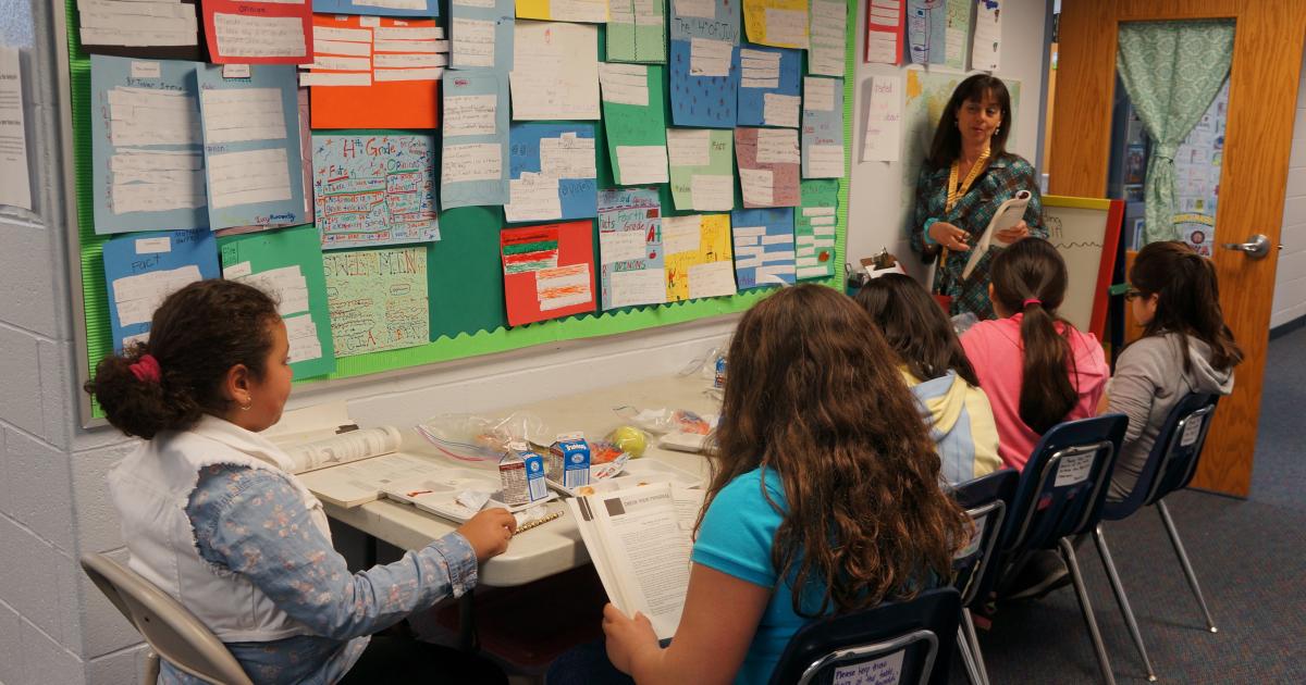 The Role of ESL Teachers | Colorín Colorado