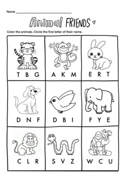 ESL CVCC Words Phonics Worksheet (teacher made) - Twinkl
