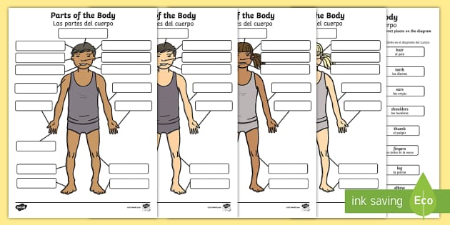 esl spanish to english worksheet