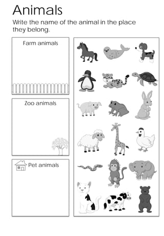 esl worksheet for kindergarten