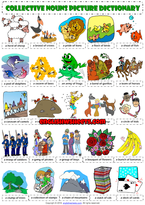 Collective Nouns ESL Picture Dictionary Worksheet