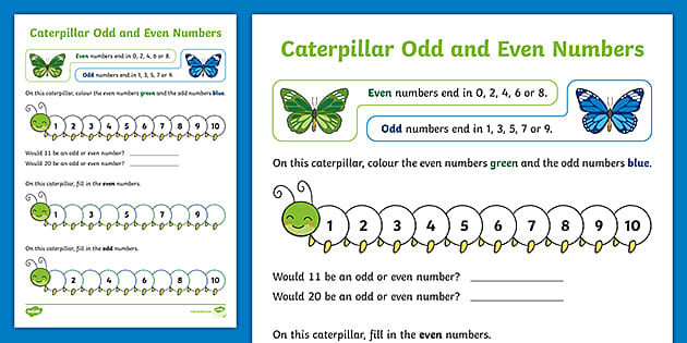 even and odd numbers worksheet