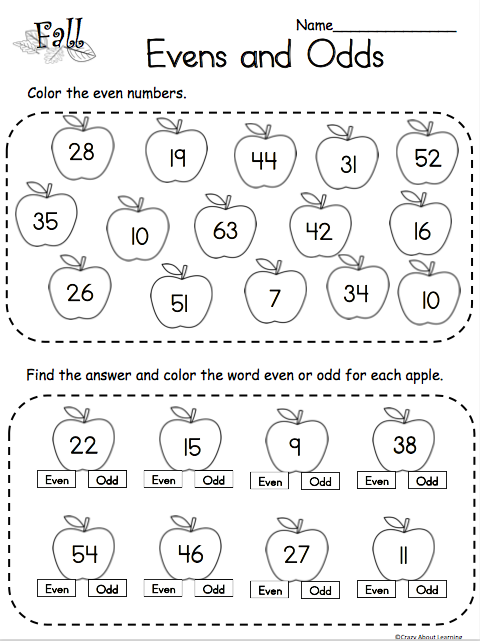 even and odd worksheet for 2nd grade