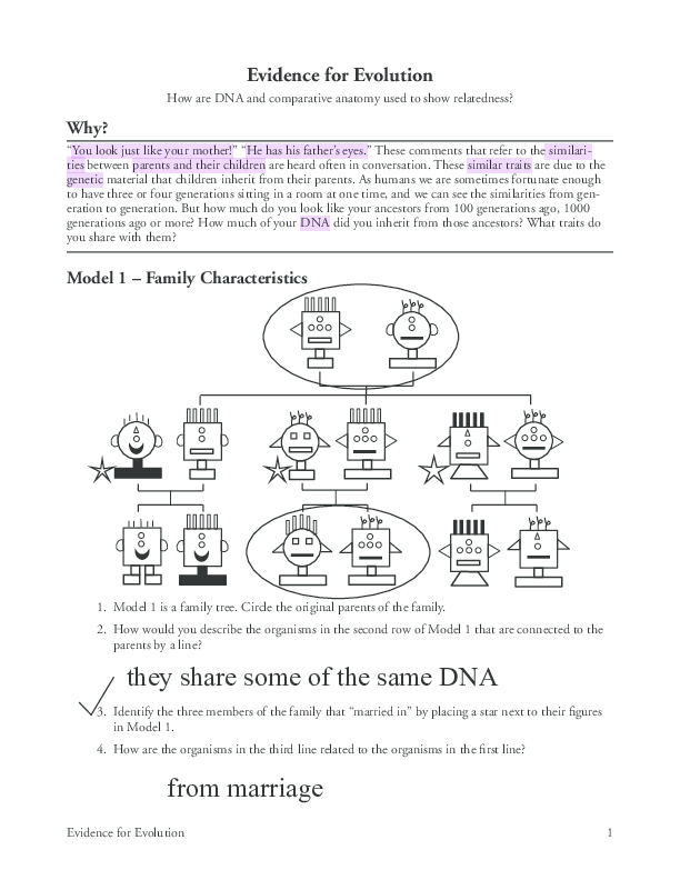 PDF) Evidence for Evolution Evidence for Evolution | Logan ...
