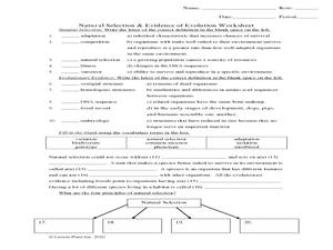 Natural Selection and Evidence Worksheet Worksheet for 9th - 12th ...