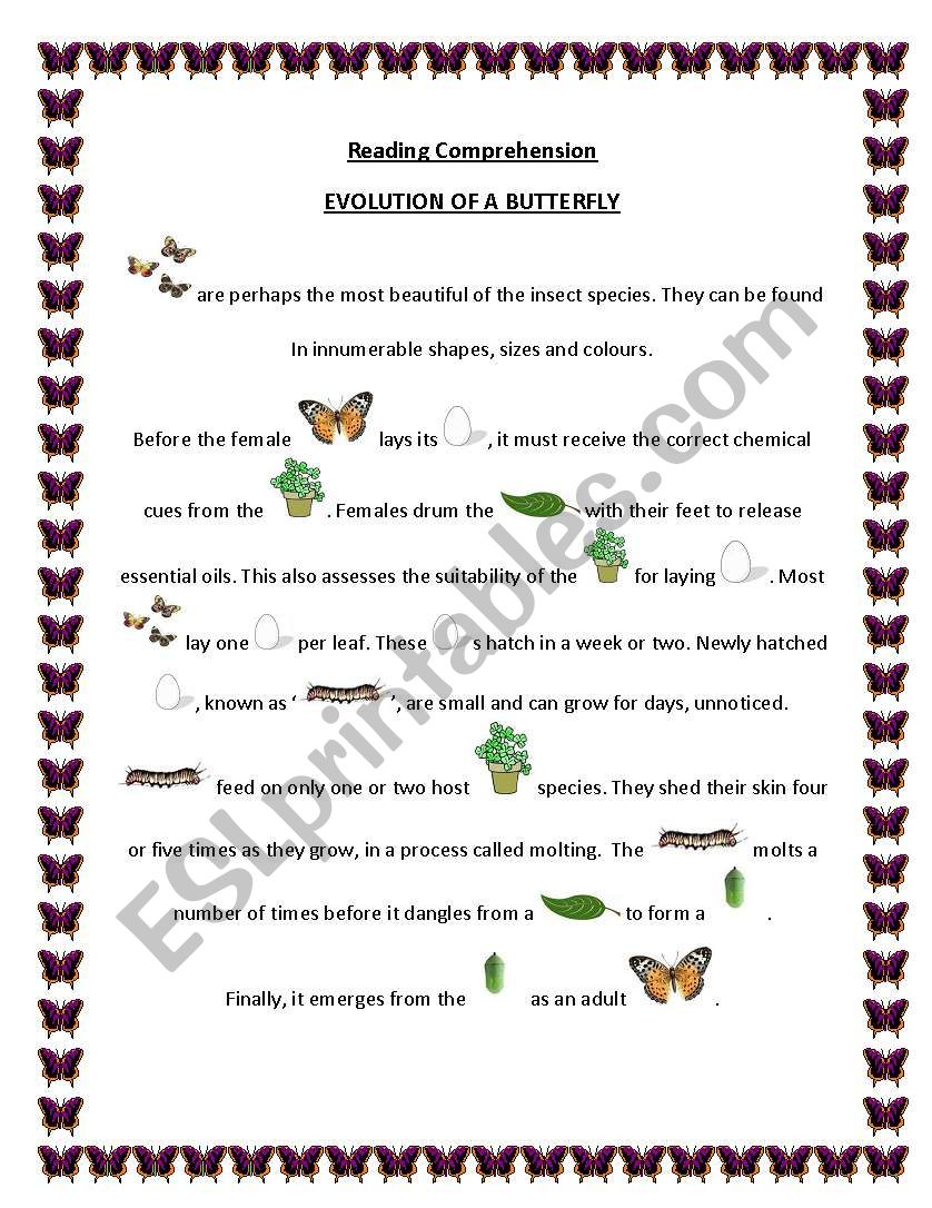 Evolution of a Butterfly - ESL worksheet by briliya