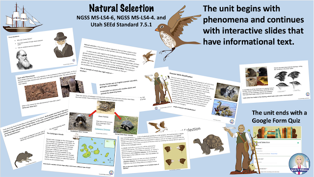 Teaching Science With Lynda: Teaching the Biological Evolution ...
