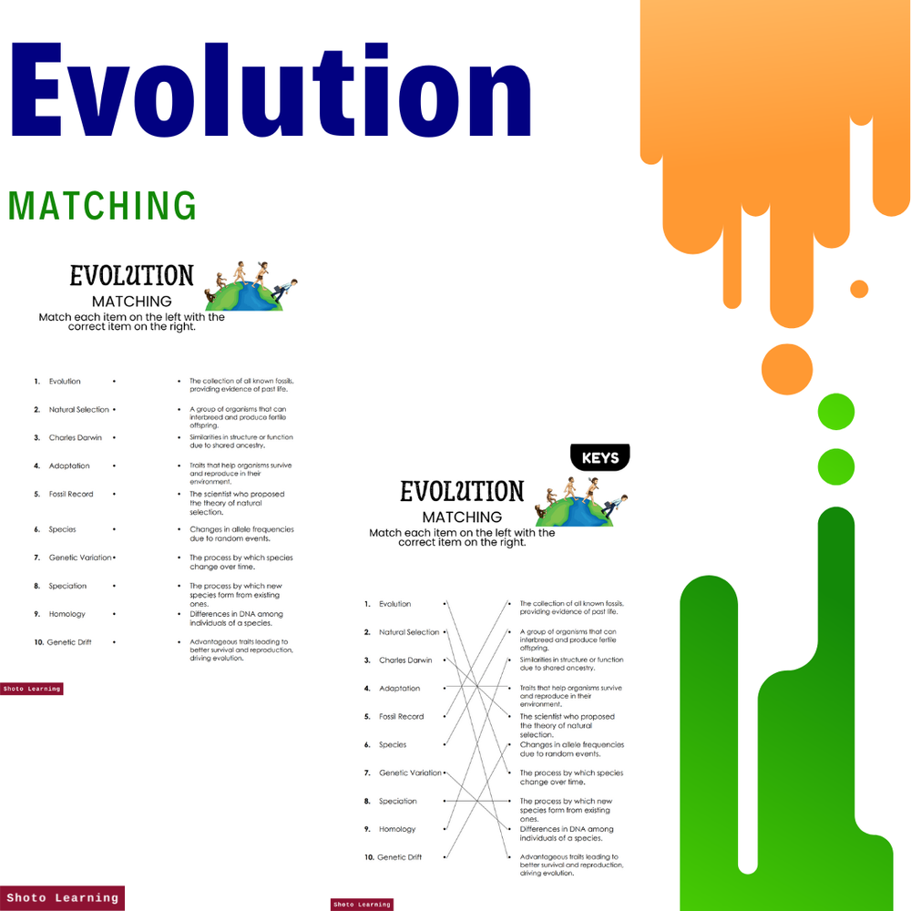 Evolution Matching Worksheet - WordMint