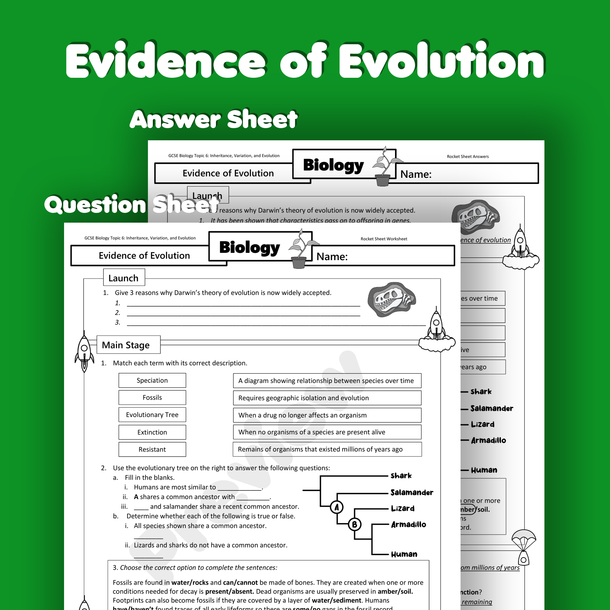Evidence for Evolution 2 online exercise for  