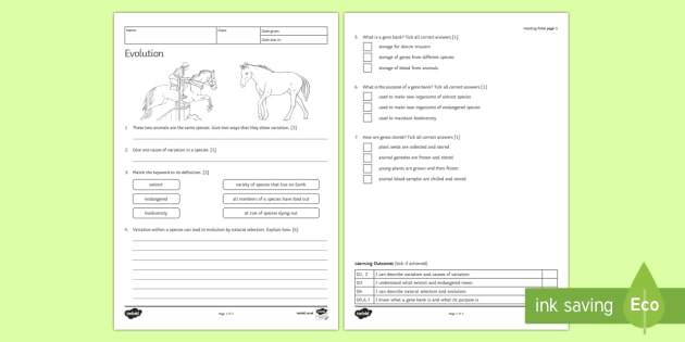 Evolution Homework Worksheet / Worksheet (Lehrer gemacht)