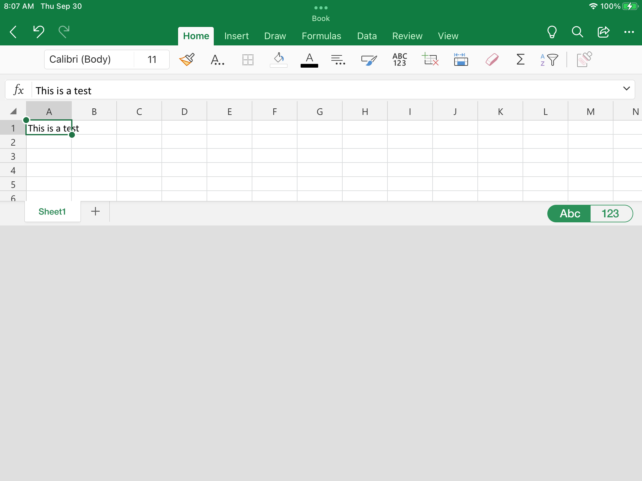 Microsoft Excel Opening A Blank Screen no Display 2016 2019 How To
