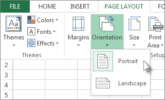 Print a worksheet in landscape or portrait orientation - Microsoft ...