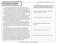 Excretory System - Reading Worksheets, Spelling, Grammar ...