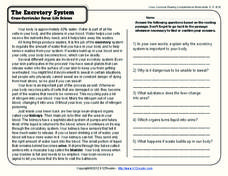 Excretory System Worksheet for 4th - 5th Grade | Lesson Planet