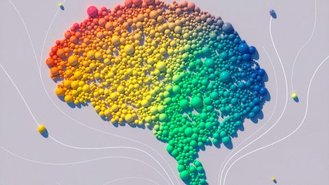 How to Improve Executive Function Skills in ADHD Adults, Children