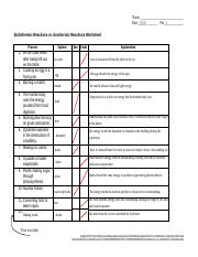 exothermic vs endothermic worksheet answers