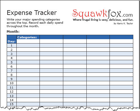Track your spending with these Expense Tracker tools - Squawkfox
