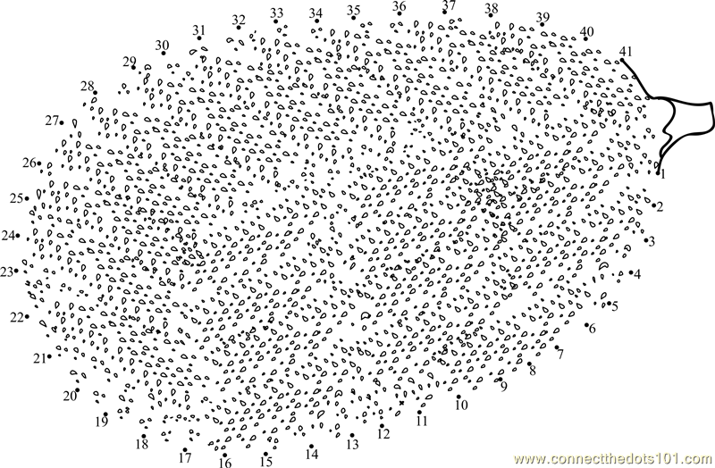 Extreme DottoDot Activity Count to 1000 (teacher made) Worksheets
